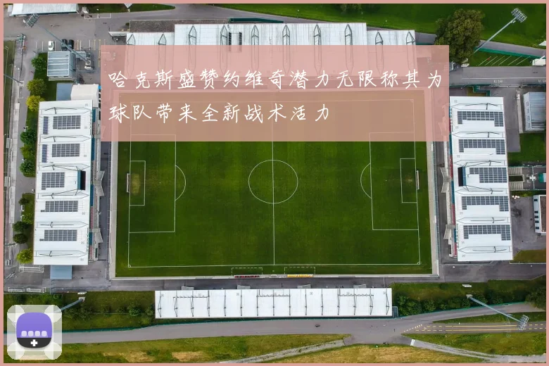 哈克斯盛赞约维奇潜力无限称其为球队带来全新战术活力