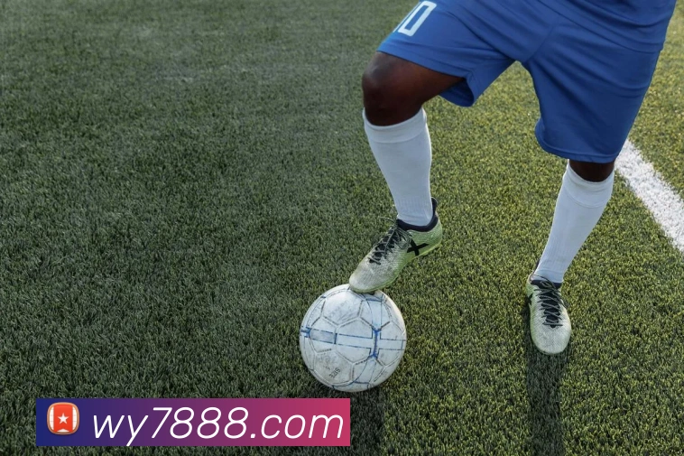 天博TB体育APP 高清赛事图